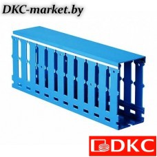 00265RL Короб перфорированный, синий RL12 100x40