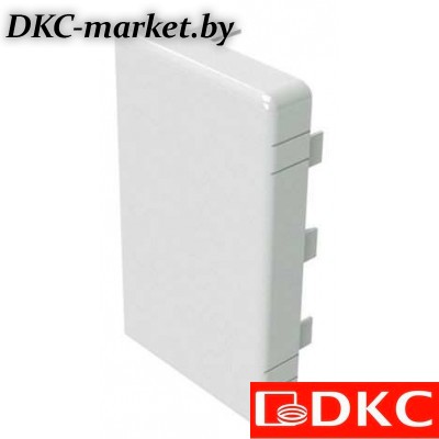 00874 LAN 100x60 Заглушка