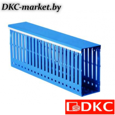 01284RL Короб перфорированный, синий RL6 40x60