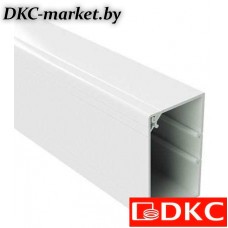 01782 TA-GN 100x40 Короб с крышкой с направляющими для установки разделителей