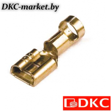 2C02L Наконечник плоский (розетка) 2,5-6 кв.мм 6,3х0,8 мм (РП-М)