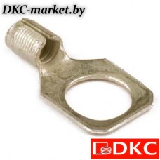 2C10 Наконечник с отверстием под винт 2,5-6 кв.мм 10,2мм (ПМ)