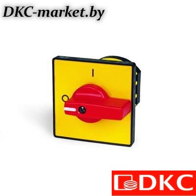 AS1206R-0201-1 Кулачк. перекл. с ручкой. AS1206R-0201-1