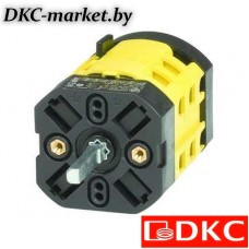 AS1226R Переключатель кулачковый двухполюсный перекидной  на 12 А