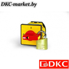 AS1603B-0601 Кулачк. перекл. с ручкой. AS1603B-0601