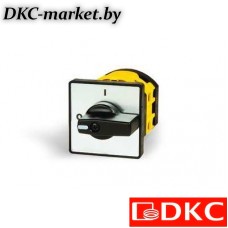AS1621R-0721 Кулачк. перекл. с ручкой. AS1621R-0721