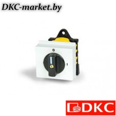 AS2002D-2701 Кулачк. перекл. с ручкой. AS2002D-2701