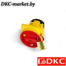 AS2503R-1001-1 Кулачк. перекл. с ручкой. AS2503R-1001-1