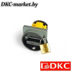 AS2504R-0901 Кулачк. перекл. с ручкой. AS2504R-0901