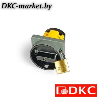 AS2504R-0901 Кулачк. перекл. с ручкой. AS2504R-0901