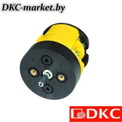 AS6302R Переключатель кулачковый двухполюсный на 63 А