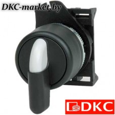 ASLB1D2 Переключатель на 2 положения с возвратом длинная ручка, красный