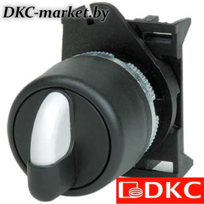 ASSB1D0 Переключатель на 2 положения стандартная ручка, красный