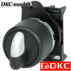 ASSB5T3 Переключатель на 3 положения с возвратом стандартная ручка, белый