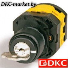 AZ2901 Селектор д.22мм ручка R29 с ключом