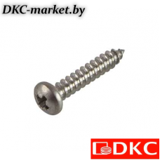 CM275009INOX316L Винт с полукруглой головкой, 4,2х9,5, нерж. AISI 316L