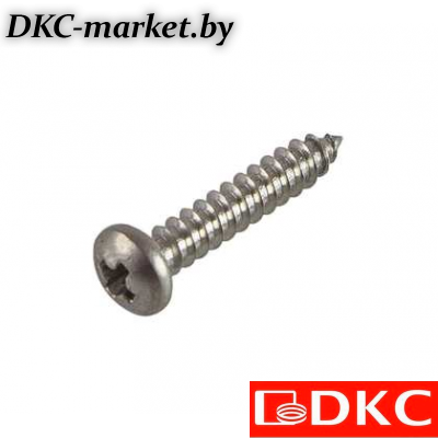 CM275009INOX316L Винт с полукруглой головкой, 4,2х9,5, нерж. AISI 316L