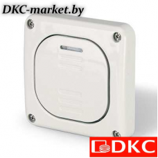 DIS1373012 Выключатель однополюсный, одноклавишный