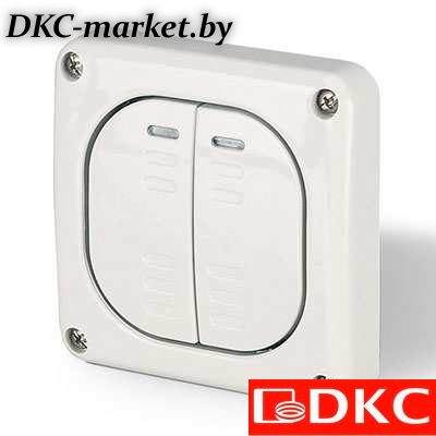 DIS1373022 Выключатель однополюсный, двухклавишный