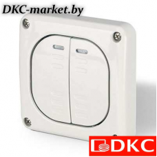 DIS1373222 Переключатель однополюсный, двухклавишный