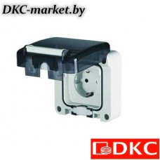 DIS1374407 Розетка панельная. Защита IP66 с вставленной вилкой