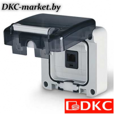 DIS137448150 Розетка RJ 45