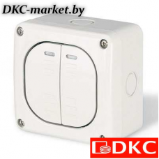 DIS1375022 Выключатель однополюсный, двухклавишный, настенный