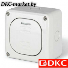 DIS1375212 Переключатель однополюсный, одноклавишный, настенный