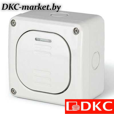 DIS1375212 Переключатель однополюсный, одноклавишный, настенный