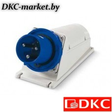 DIS245M12593 Вилка настенная IP67 125А 2P+E 250В