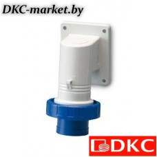 DIS2473293 Вилка панельная с наклоном IP67 32А 2P+E 250В