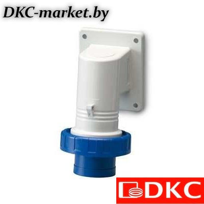 DIS2473293 Вилка панельная с наклоном IP67 32А 2P+E 250В