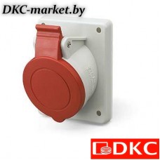 DIS4131667 Розетка панельная с наклоном  IP44 16А 3P+E+N 400В