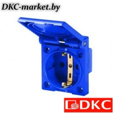 DIS5702061 Розетка панельная, IP54