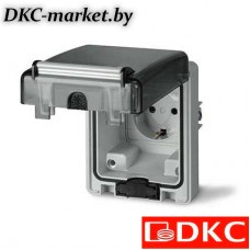 DIS5706407 Розетка панельная. Компактная. Защита IP66 с вставленной вилкой