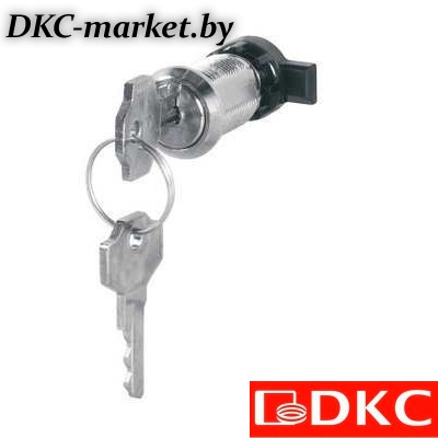 DIS6540070NS Комплект замка для отделения с модульным оборудованием.