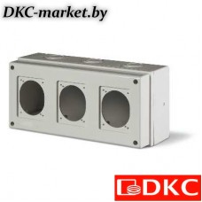 DIS6721300 Корпус на 3 поста с основанием 70х87 мм. Тип M150