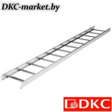 LL8050INOX Лестничный лоток 80х500, L3000, нержавеющий