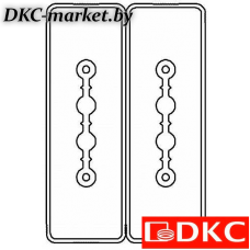 LTC25BSP42AA000 Секция прямая шинопровод 1+1 точек отвода L=3000мм Cu 2P+2P 25A