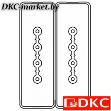 LTC25FSP44AA000 Секция прямая шинопровод 1+1 точек отвода L=1000мм Cu 4P+4P 25A