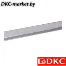 NE5503 Вертикальный заземлитель из уголка 50х50х5 мм, 3 м