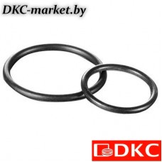 PAR36 Кольцо уплотнительное DN 36 мм