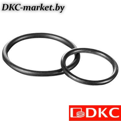 PAR36 Кольцо уплотнительное DN 36 мм