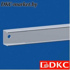 R5BPE60 Притвор для внутренней секционной панели, для шкафов DAE/CQE Ш=600мм