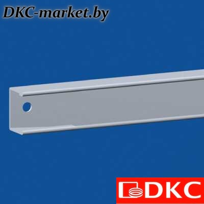 R5BPE60 Притвор для внутренней секционной панели, для шкафов DAE/CQE Ш=600мм