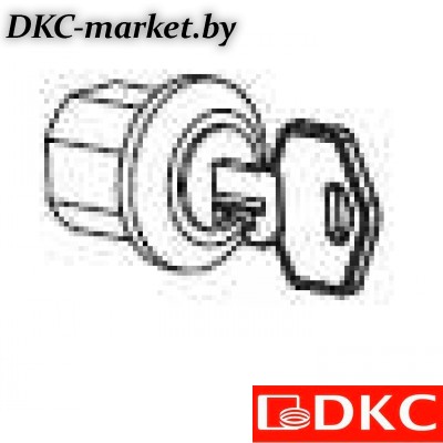 R5CE227 Личинка замка, для вкладыша, с универсальным ключом