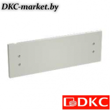 R5CPFEM4250 Панель накладная сплошная В=250 Ш=400