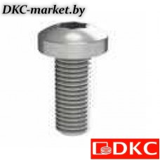 R5M512 Винт М5х12 под шлиц Torx, 100 шт.