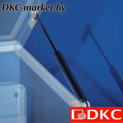 R5MPG30 Газовые упоры R5MPG30, 1 упаковка - 2шт.