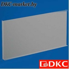 R5PCE6400 Монтажная плата, секционная, В=400мм, для шкафов DAE/CQE Ш=600мм